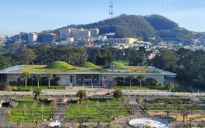 Golden Gate Park